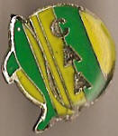 Club Atlético Aldosivi