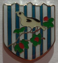 West Bromwich Albion