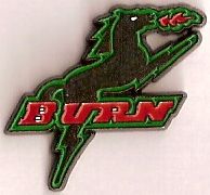Dallas Burn