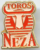 Toros Neza