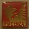 Piacenza Calcio