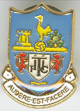 Tottenham Hotspur F. C (1)